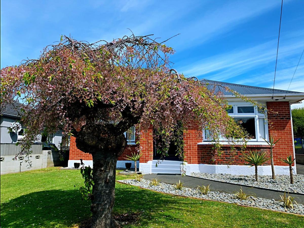 Andersons Bay Holiday House Villa Dunedin Eksteriør bilde