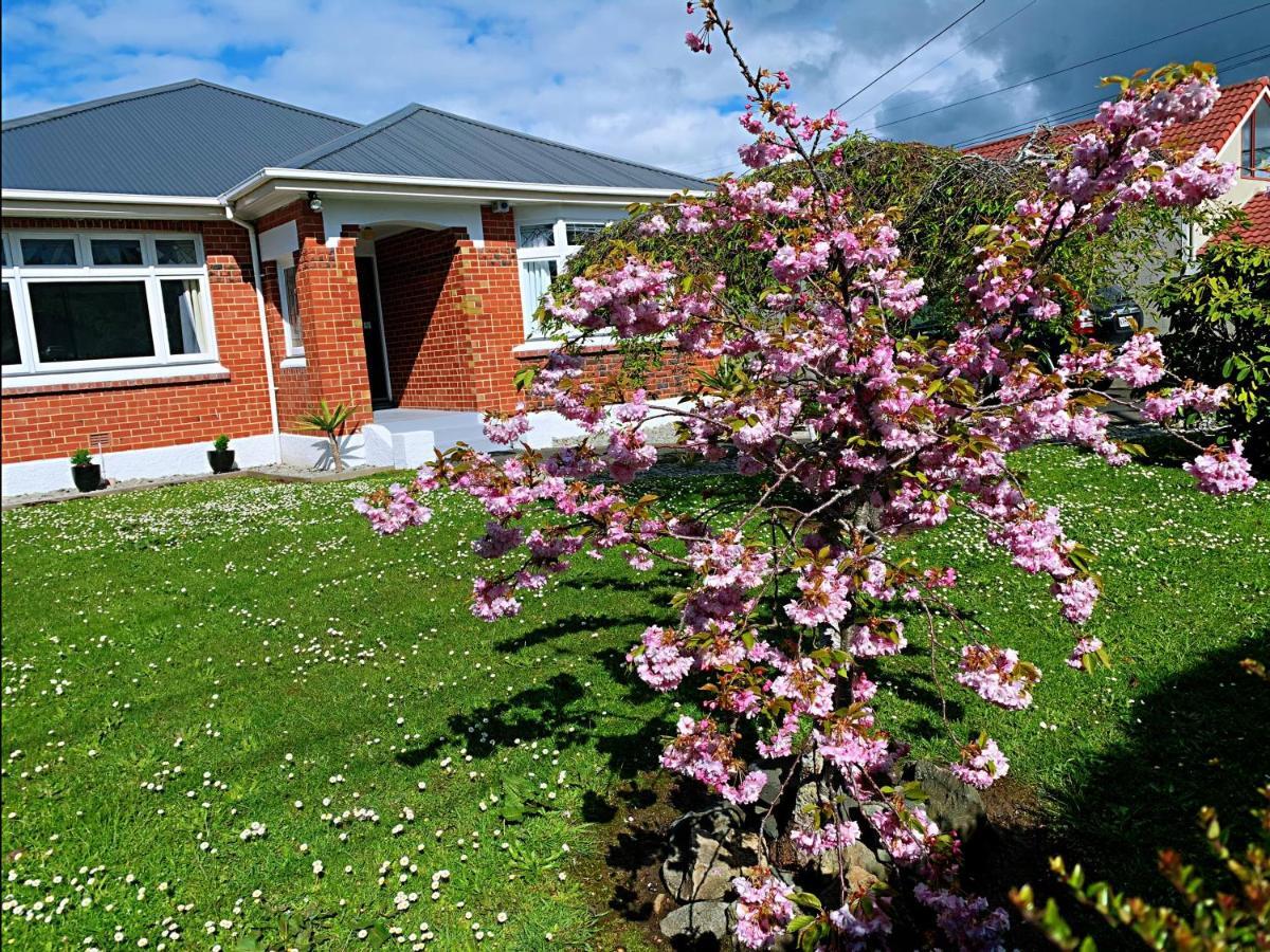 Andersons Bay Holiday House Villa Dunedin Eksteriør bilde